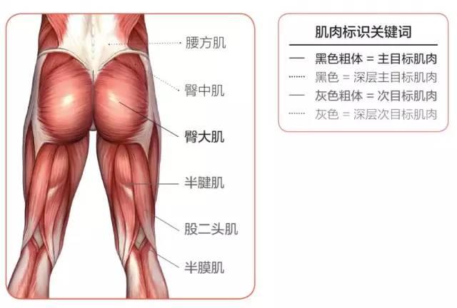 还停留在平板撑？侧平板支撑帮你塑造完美腹肌！