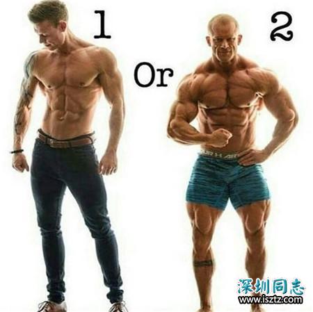 1 和 2，哪个身材是你的菜？